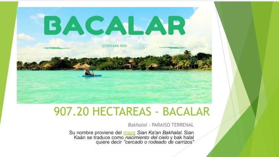 CERCA DE BACALAR 907 HECTAREAS (VENTA)