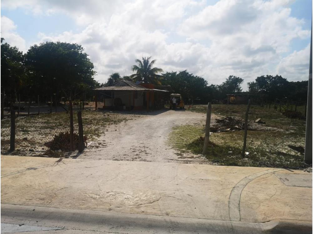   TERRENO EN MAHAHUAL KM 2 DENTRO DEL PUEBLO - Img: 1