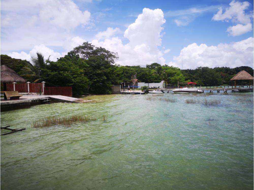 HOTEL EN BACALAR CON ORILLA DE LAGUNA - Img: 8