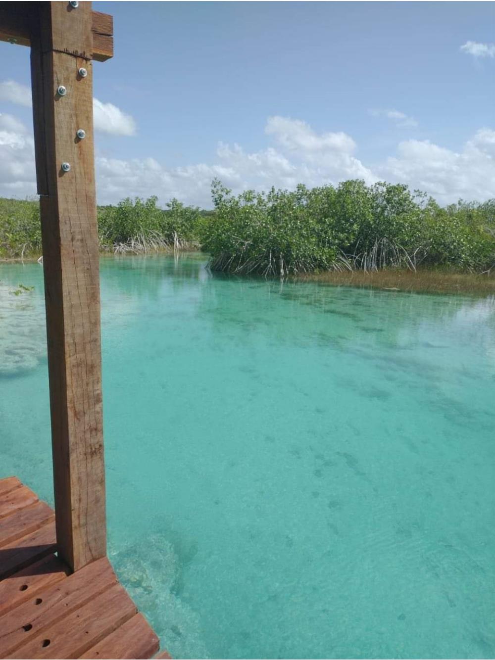 LOTES A ORILLA DE LAGUNA EN BACALAR - Img: 3