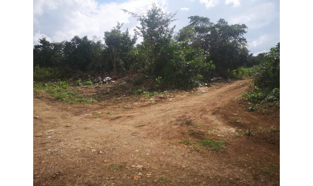 TERRENO EN BACALAR EN ESQUINA - Img: 5