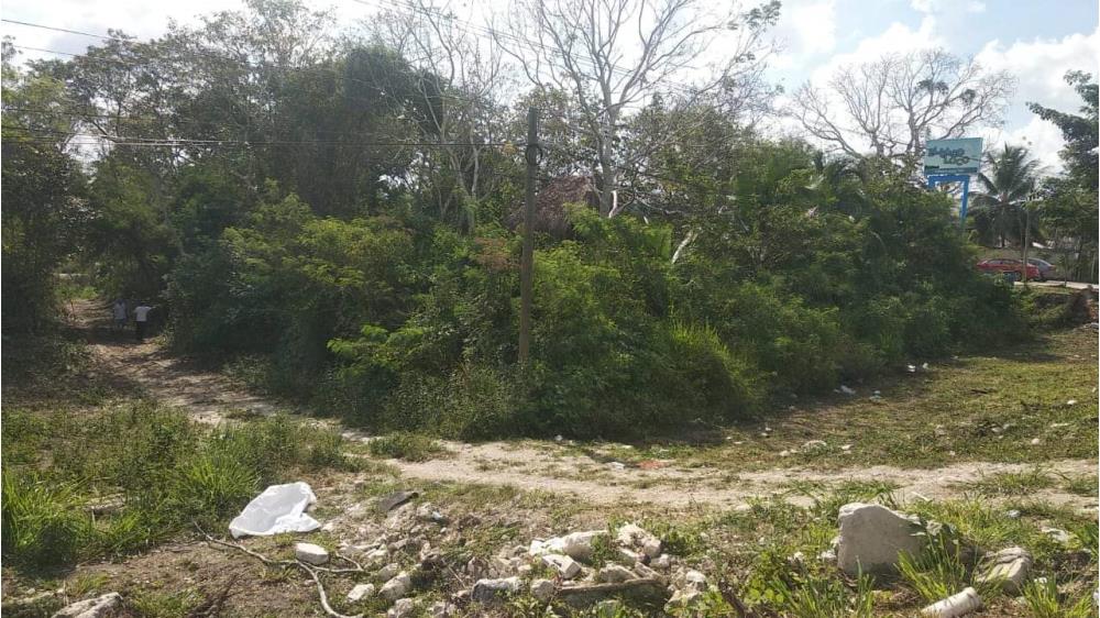 TERRENO EN BACALAR CERCA DE LA LAGUNA - Img: 2