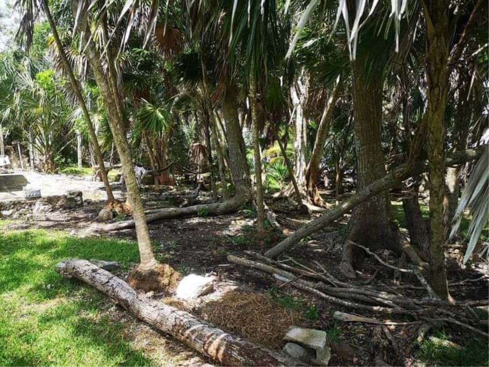 TERRENO CON FRENTE DE BAHIA EN CALDERITAS - Img: 9