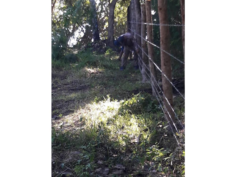 TERRENO CON FRENTE DE BAHIA EN CALDERITAS - Img: 14