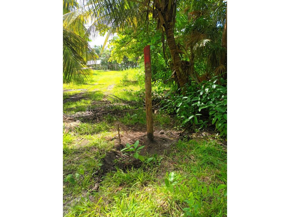 TERRENO CON FRENTE DE BAHIA EN CALDERITAS - Img: 21