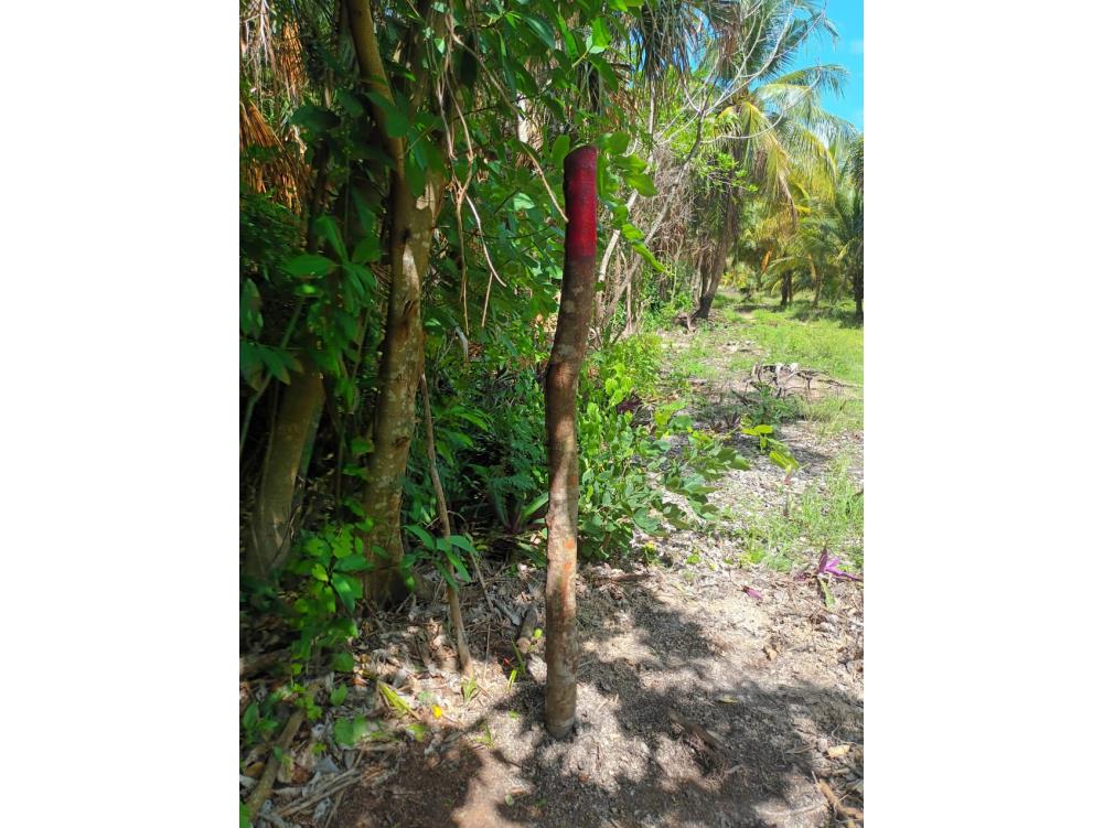 TERRENO CON FRENTE DE BAHIA EN CALDERITAS - Img: 23