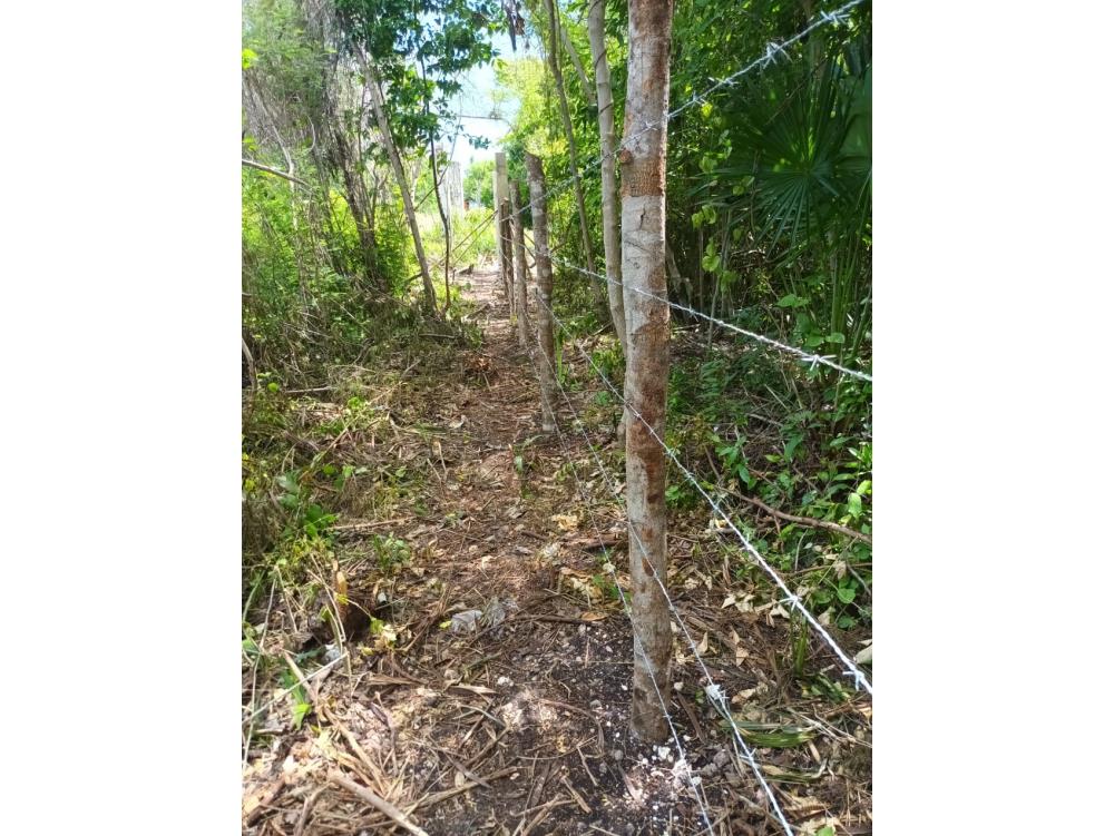 TERRENO CON FRENTE DE BAHIA EN CALDERITAS - Img: 25